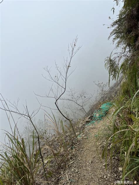 雙龍入|西巒大山簡介 雙龍進出攻略 包含地形 水源 野營點 住宿 交通完整。